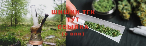 мдпв Гусь-Хрустальный