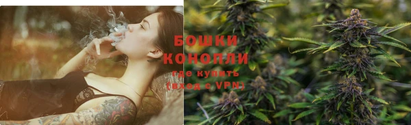 мдпв Гусь-Хрустальный