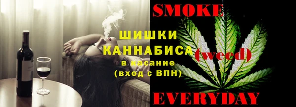 мдпв Гусь-Хрустальный
