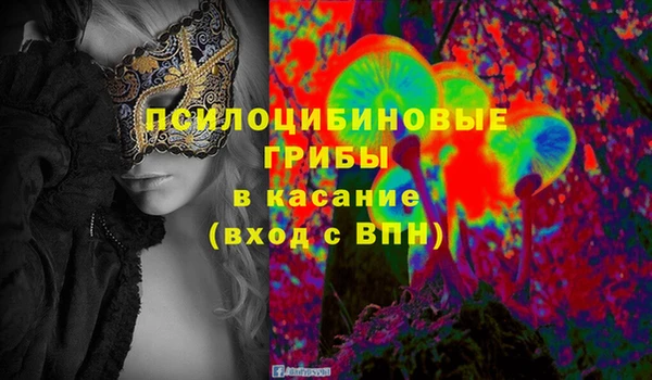 мдпв Гусь-Хрустальный