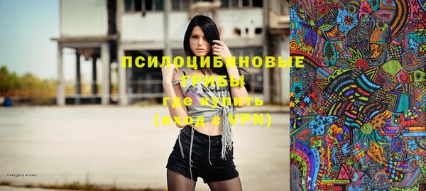 мдпв Гусь-Хрустальный