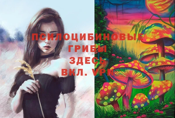 мдпв Гусь-Хрустальный
