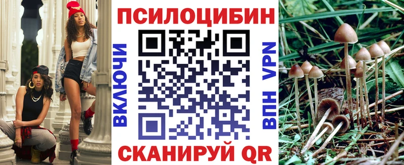 Псилоцибиновые грибы прущие грибы  Купить  Кулебаки 
